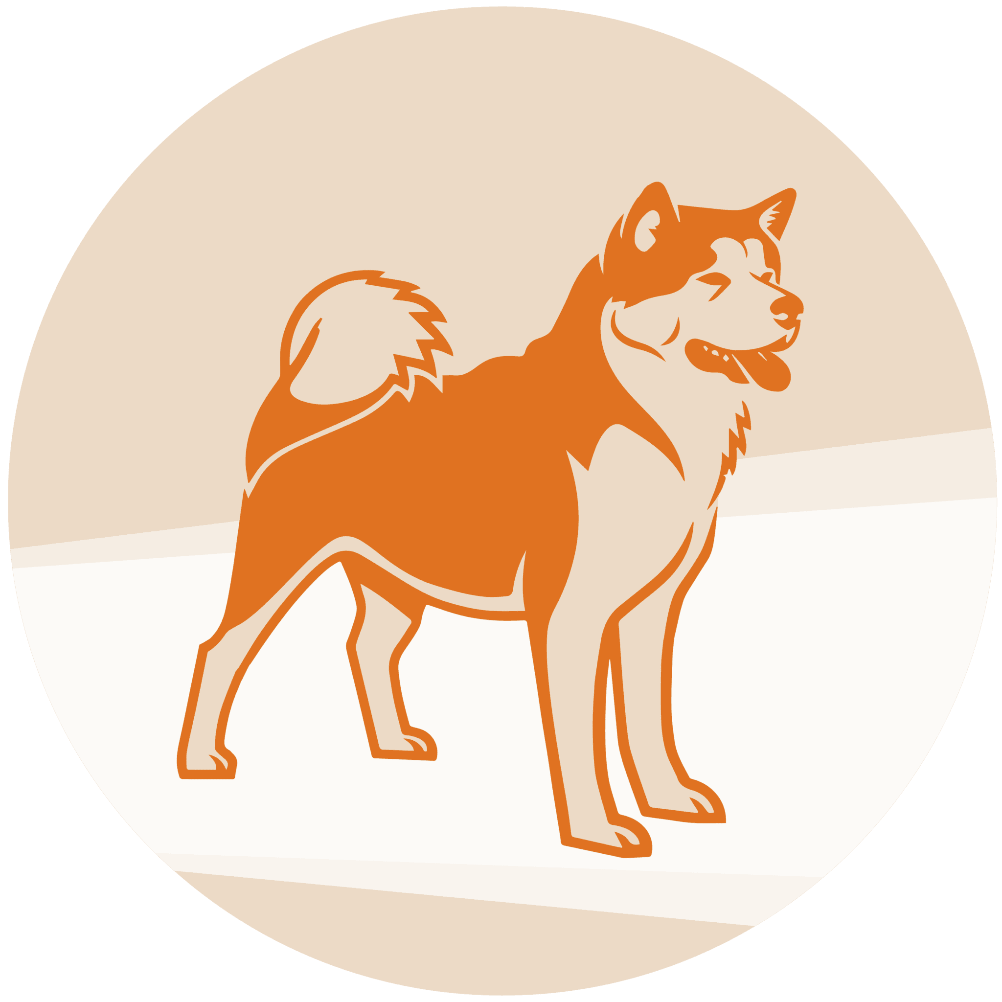 Akita Immunity And Autoimmune Diseases - The Akita Inu